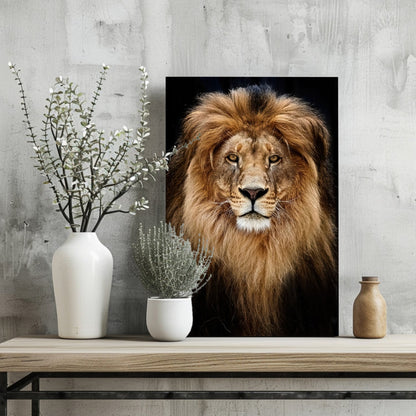 Majestic Golden Lion Portrait Aluminum Print