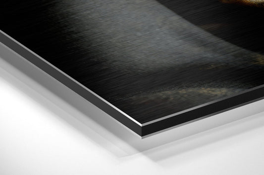 Gold Lips And Fingers Silence Brushed Aluminium Dibond Wall Art
