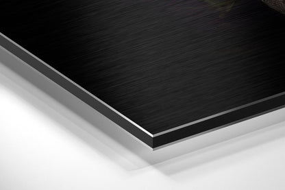 Black Swan Brushed Aluminium Dibond Wall Art