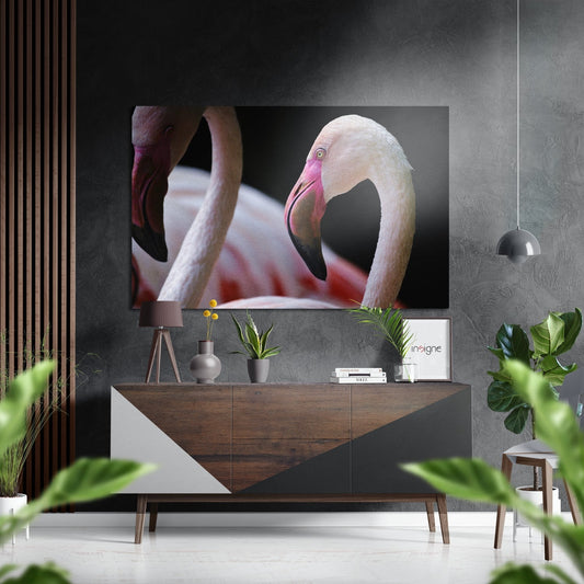 Flamingo Portrait Closeup Brushed Aluminium Dibond Wall Art