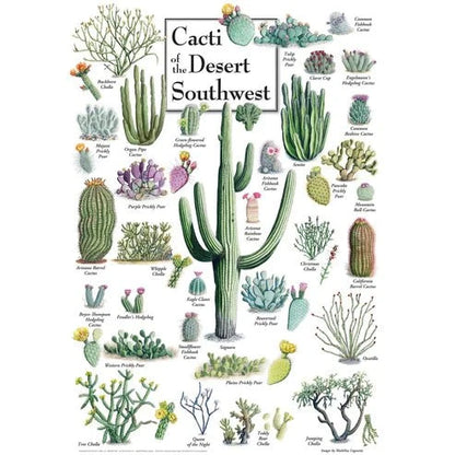 Cacti of the Desert Southwest 1000 Piece Jigsaw Puzzle | Masterpieces