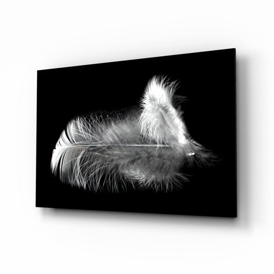 Soft White Feather Black Glass Wall Art