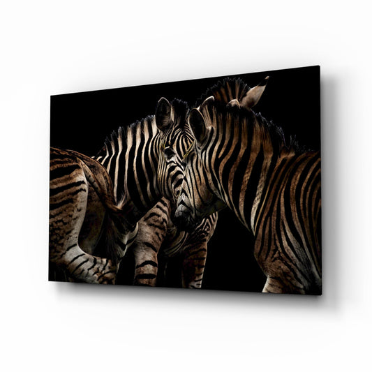 Nuzzling Zebra Pair Glass Wall Art