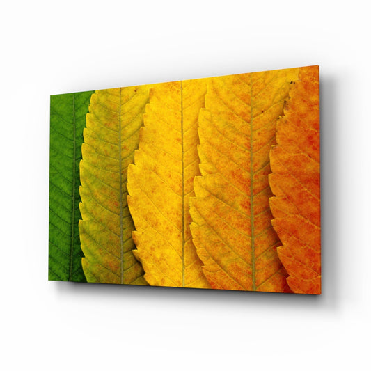 Macro Serrated Leaves Color Shift Glass Wall Art
