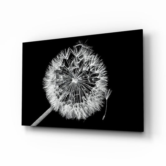 Dandelion Seeds Drifting Black Glass Wall Art