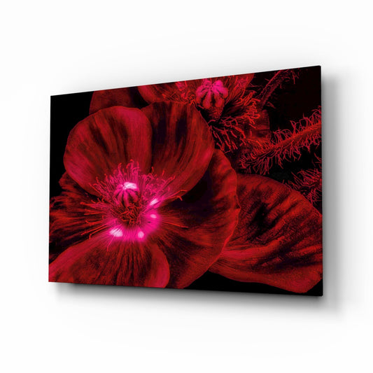 Crimson Poppy With Magenta Center Glass Wall Art