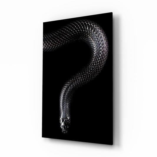 Silver Scaled Snake Descending Dark Glass Wall Art