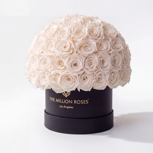 Classic Black Superdome Box | White Roses