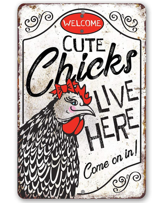 Cute Chicks Live Here - Metal Sign