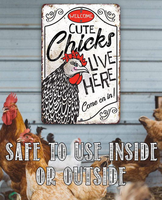 Cute Chicks Live Here - Metal Sign