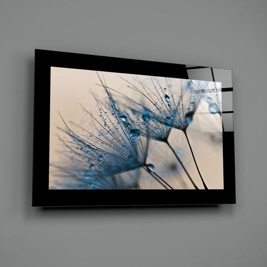 Blue Dew Drops on Dandelion Seeds Glass Wall Art