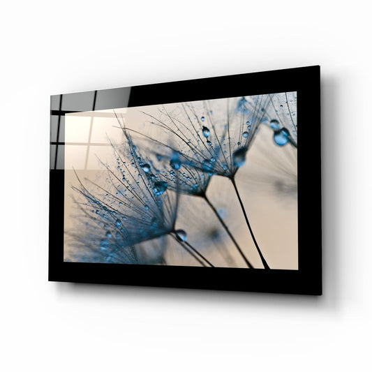Blue Dew Drops on Dandelion Seeds Glass Wall Art