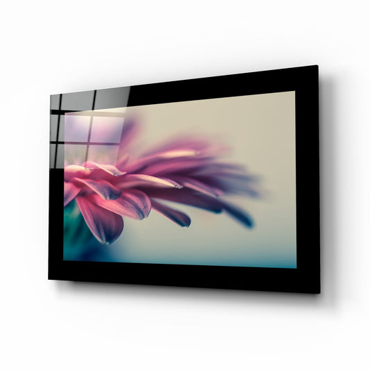 Pink Petal Macro Daisy Flower Glass Wall Art