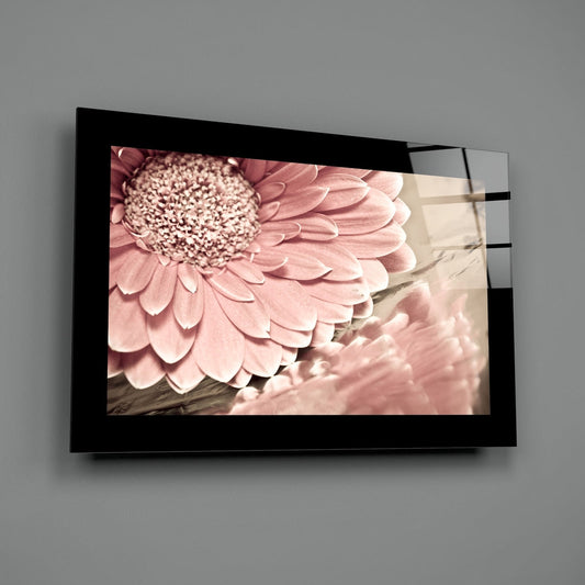 Dusty Rose Daisy Vintage Tone Flower Glass Wall Art