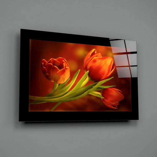 Three Red Tulips on Dark Amber Glass Wall Art