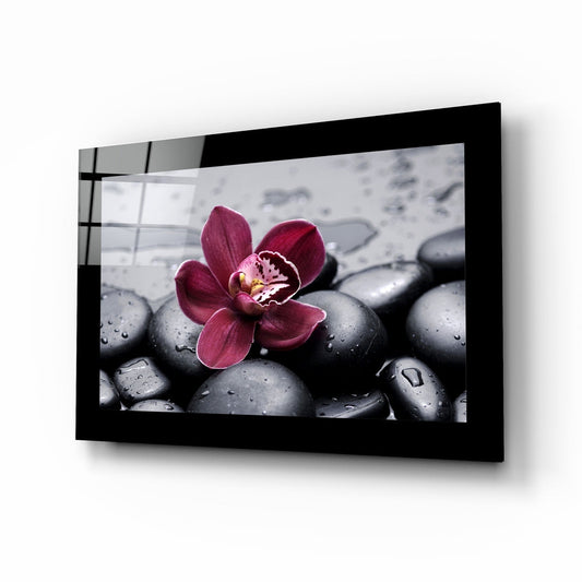 Burgundy Orchid Gray Spa Stones Glass Wall Art