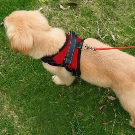 Dog Soft Adjustable Harness Otarealm