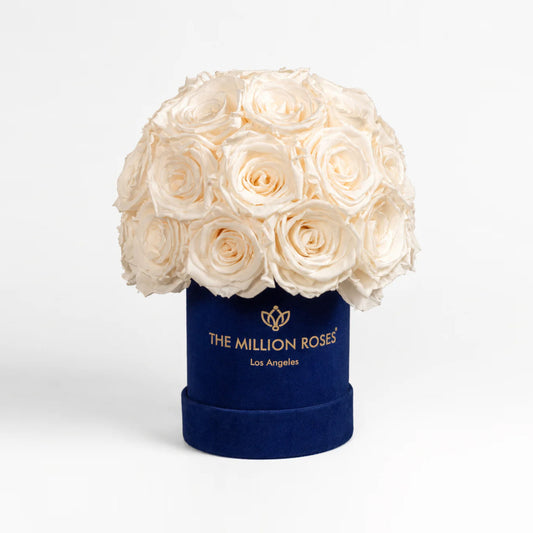 Essence Royal Blue Suede Superdome Box | White Roses