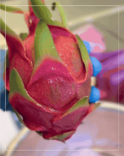 Dragonfruit Electrolytes Otarealm