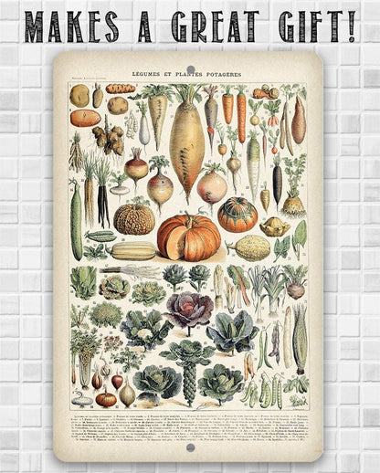 Legumes - Metal Sign