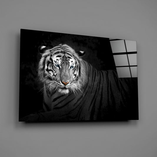Reclining Blue Eyed Tiger Glass Wall Art