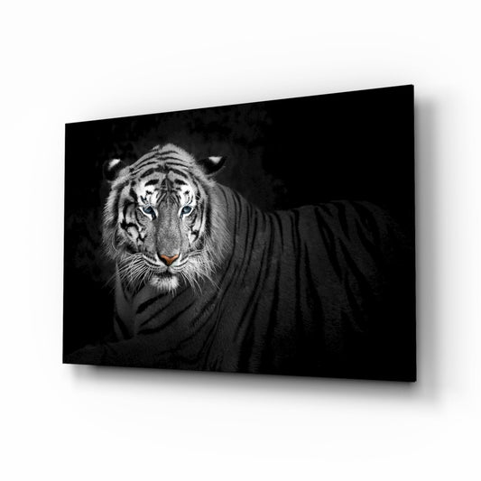 Reclining Blue Eyed Tiger Glass Wall Art