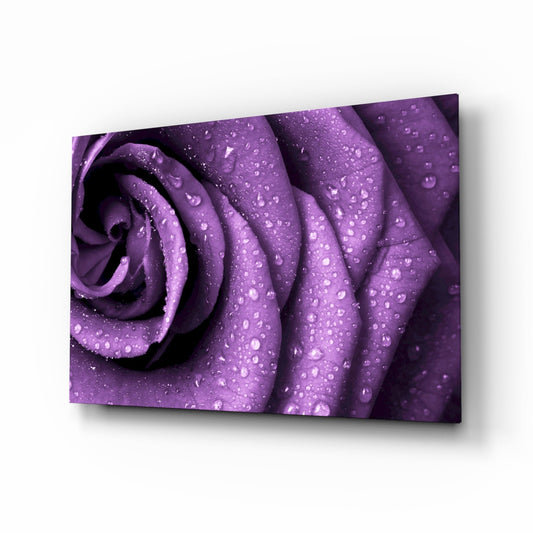 Rain Kissed Purple Rose Petals Glass Wall Art
