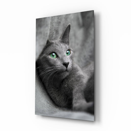 Green Eyed Gray Cat Glass Wall Art