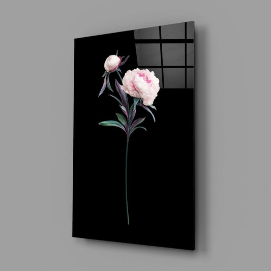 Pink Peony Botanical Study Glass Wall Art
