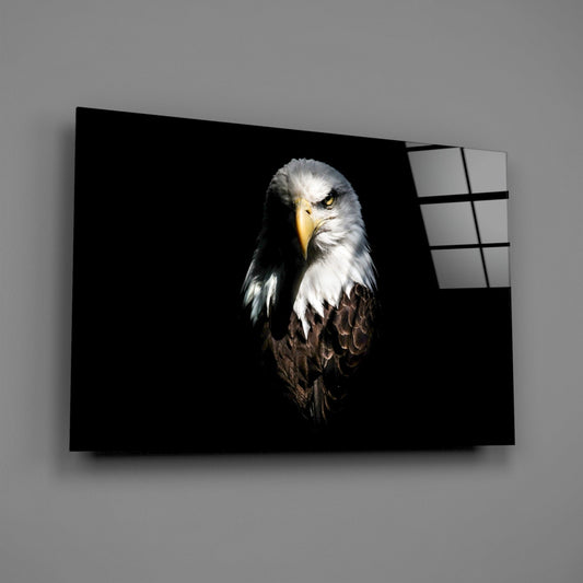 Dark Shadow Bald Eagle Glass Wall Art