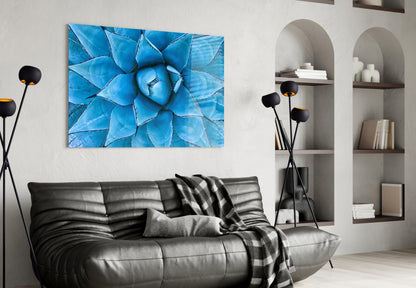 Blue Agave Succulent Rosette Glass Wall Art