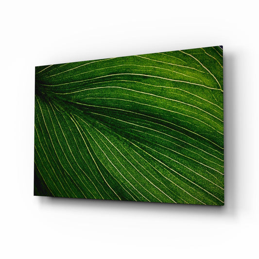Radiating Green Leaf Vein Lines Glass Wall Art