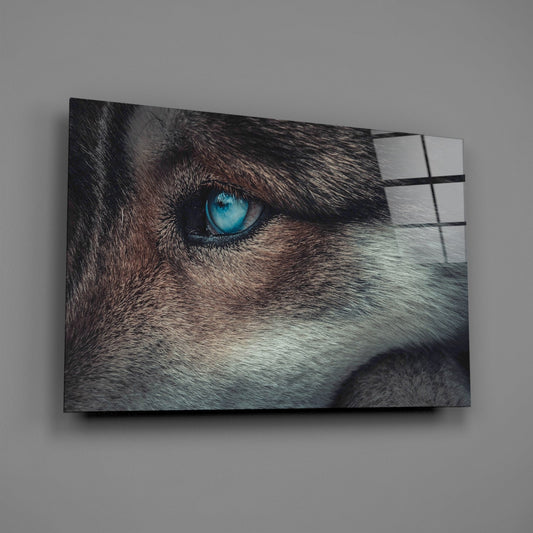 Ice Blue Wolf Eye Closeup Glass Wall Art