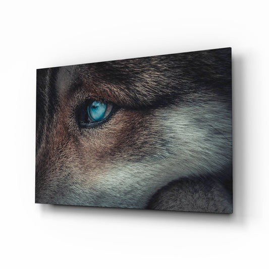 Ice Blue Wolf Eye Closeup Glass Wall Art