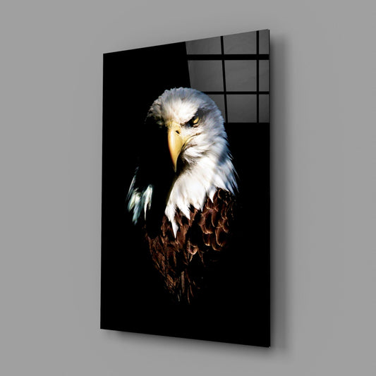 Fierce Bald Eagle Portrait Glass Wall Art