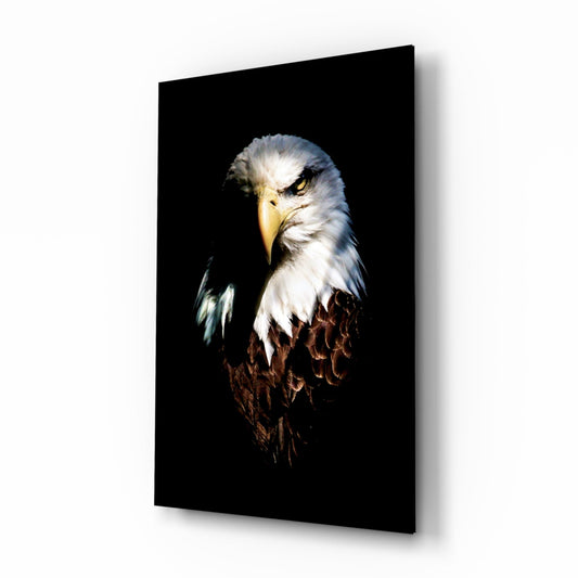 Fierce Bald Eagle Portrait Glass Wall Art