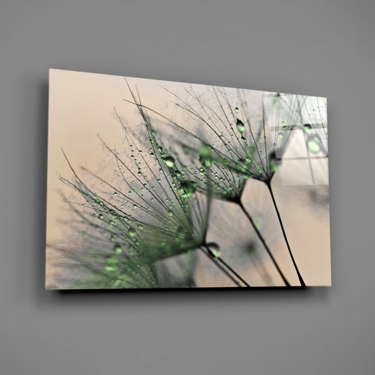 Green Dew Drops Dandelion Wisp Glass Wall Art
