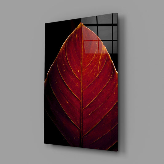 Deep Red Leaf Veins On Black Glass Wall Art