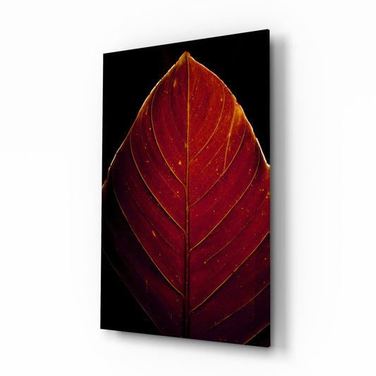 Deep Red Leaf Veins On Black Glass Wall Art