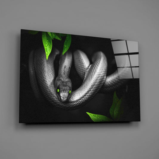 Green Eyed Coiled Snake Leaves Glass Wall Art