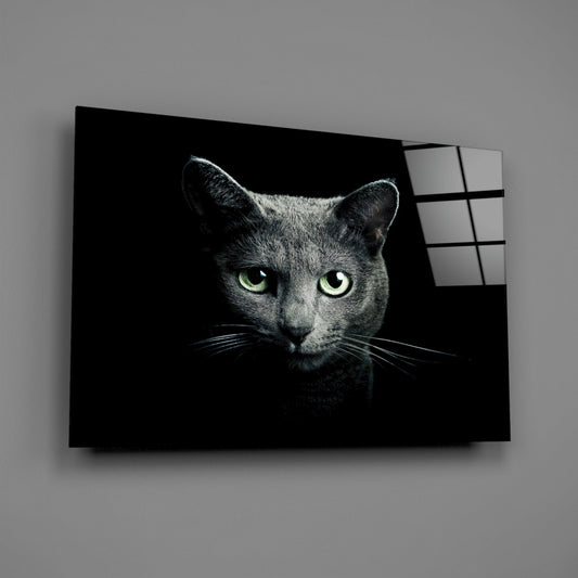 Green Eyed Blue Cat Dark Glass Wall Art