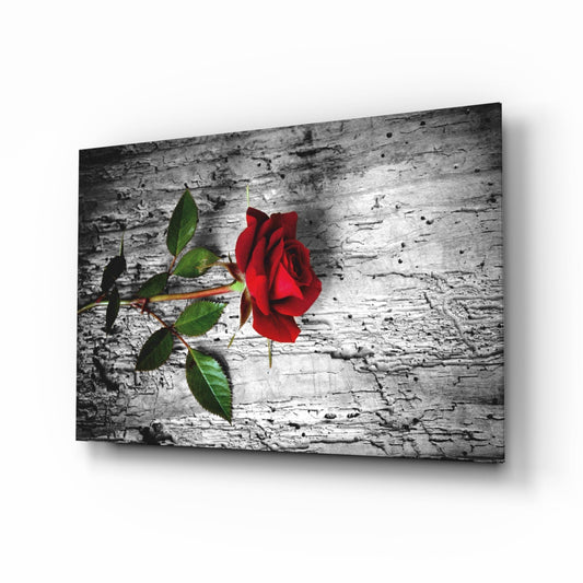 Single Red Rose on Weathered Wood Glass Wall Art
