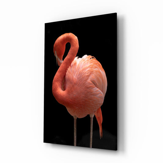 Coral Flamingo Curved Neck Glass Wall Art