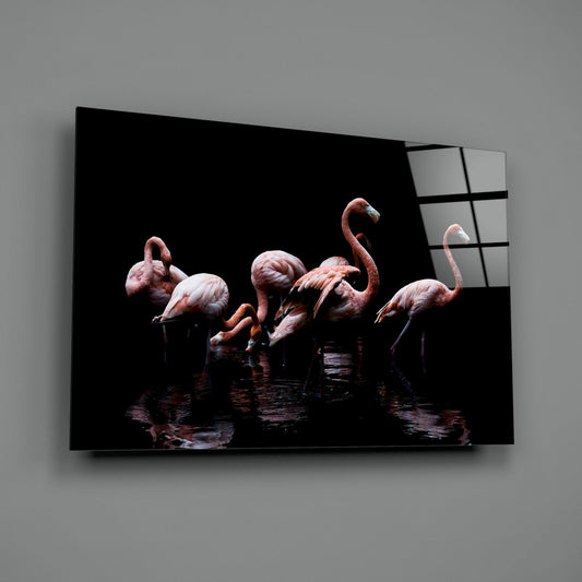 Black Background Wading Flamingos Glass Wall Art