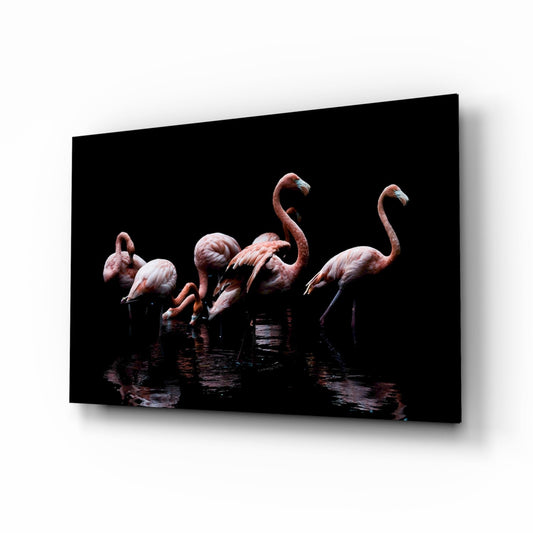 Black Background Wading Flamingos Glass Wall Art