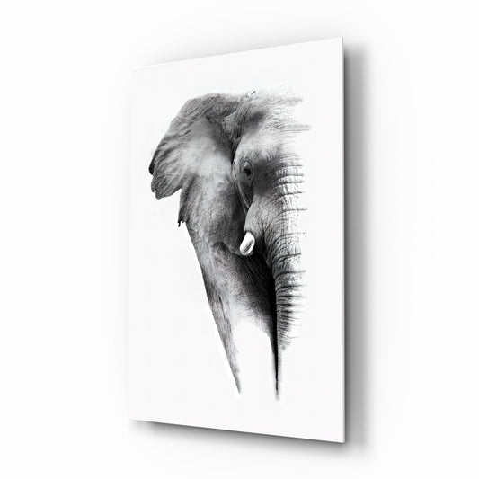Faded Grayscale Elephant Sketch Glass Wall Art
