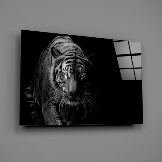 Tiger Emerging From Shadow Glass Wall Art