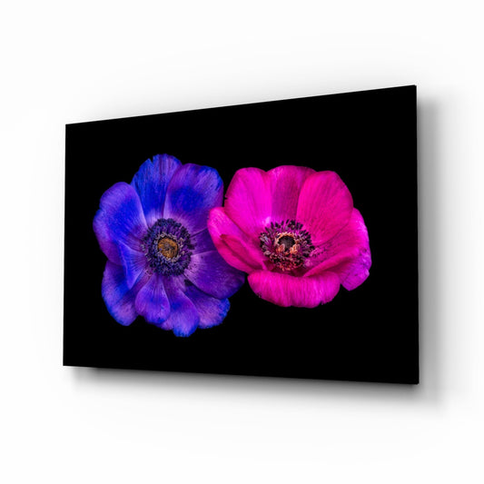 Crowned Mountain Tulip Glass Wall Art