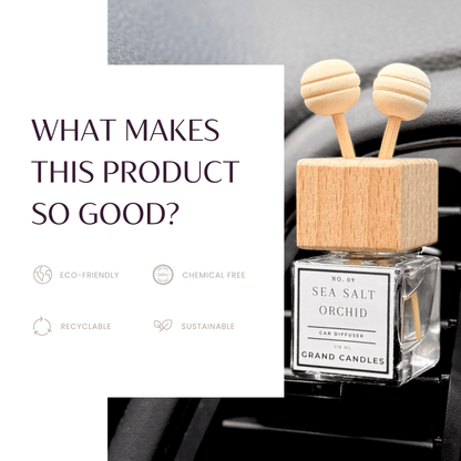 Spa Day Car Diffuser