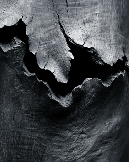 Mourning Wood Eau de Parfum Otarealm